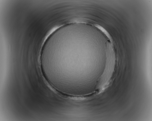 X0000084010893200703091925