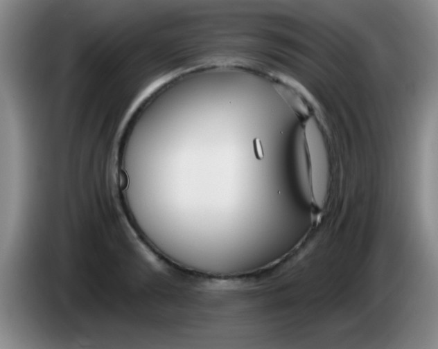 X0000084010894200703091924