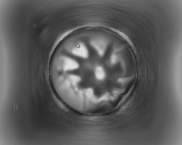 X0000084010895200703091924