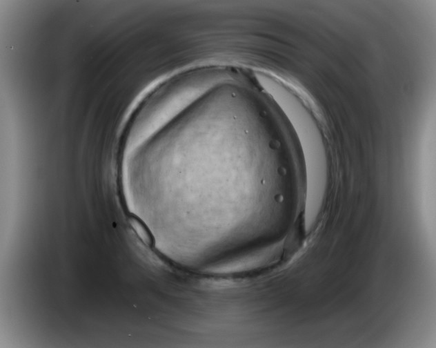 X0000084010896200703091924