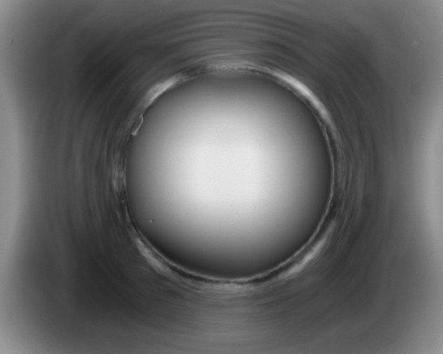 X0000084010897200703091924