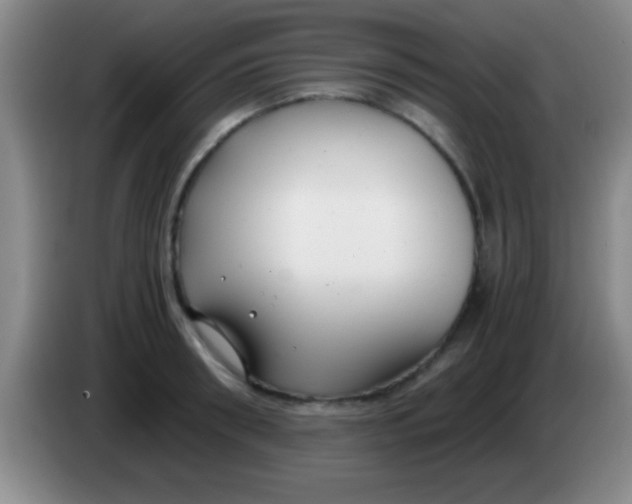 X0000084010898200703091924