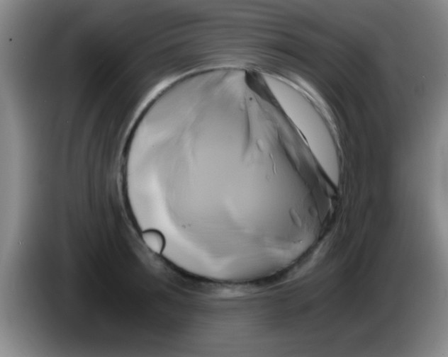 X0000084010899200703091924