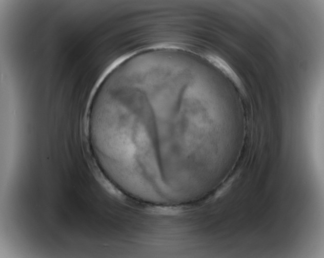 X0000084010900200703091924