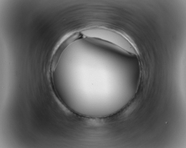 X0000084010901200703091924