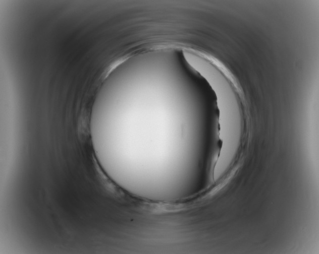 X0000084010905200703091924