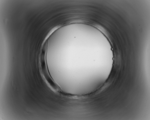 X0000084010906200703091924