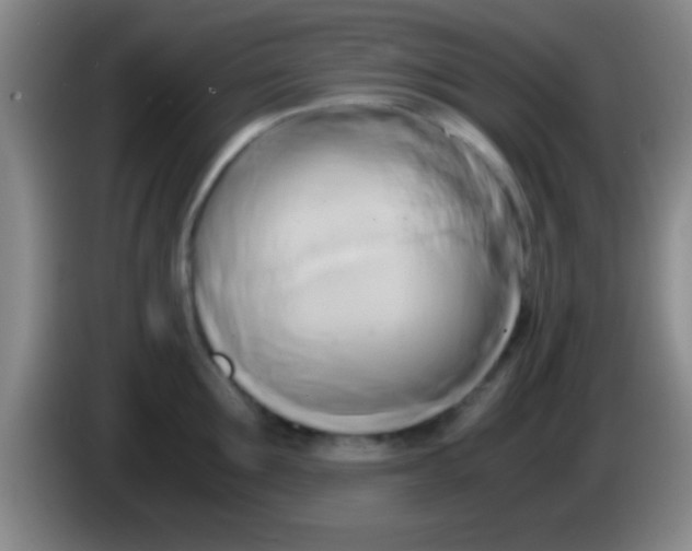 X0000084010907200703091924