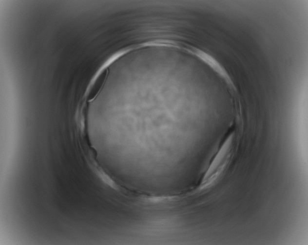 X0000084010908200703091924