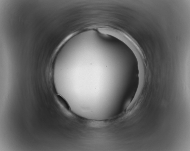 X0000084010909200703091924