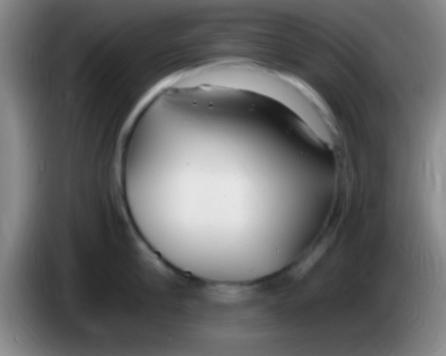 X0000084010910200703091924