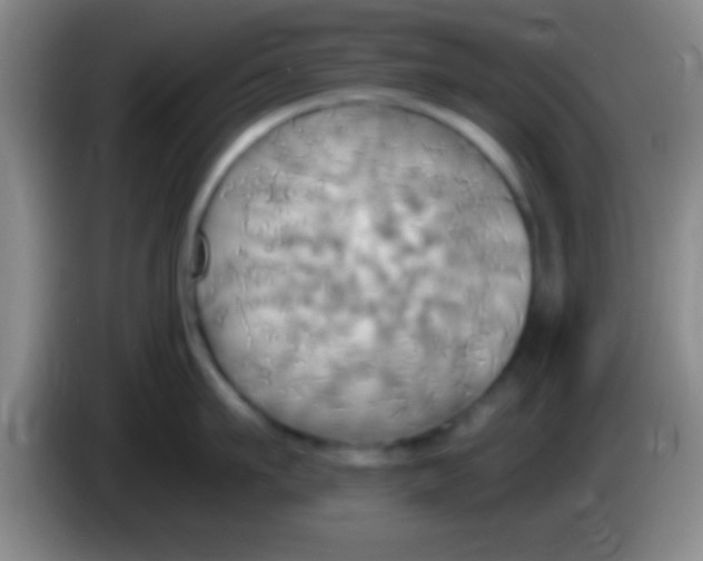 X0000084010911200703091924