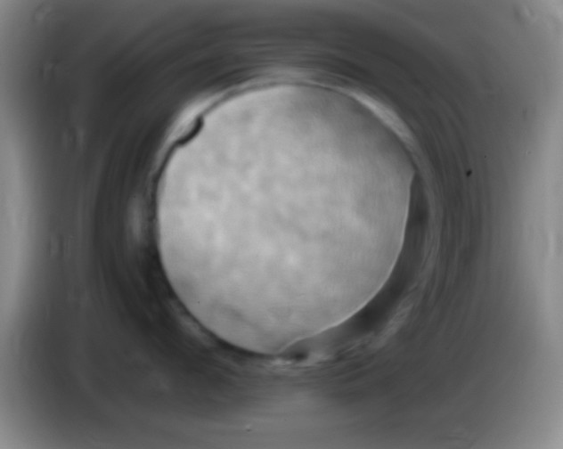 X0000084010912200703091924