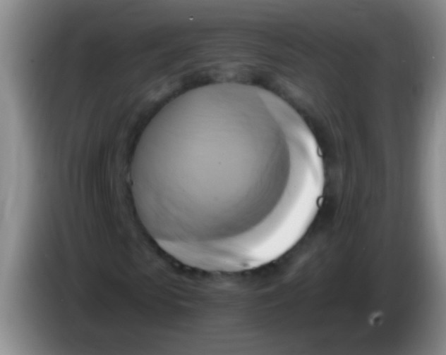 X0000084010913200703091924