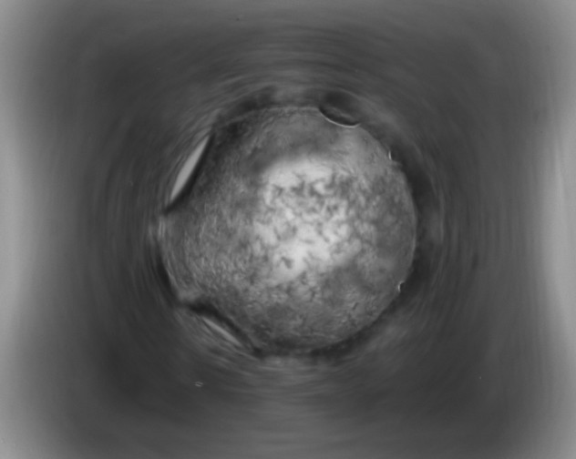 X0000084010914200703091924