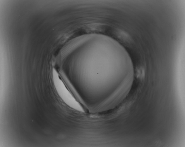 X0000084010915200703091924