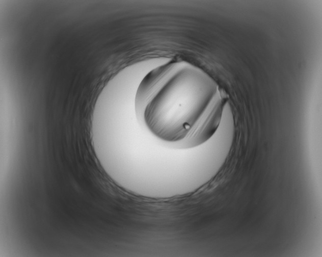 X0000084010916200703091924