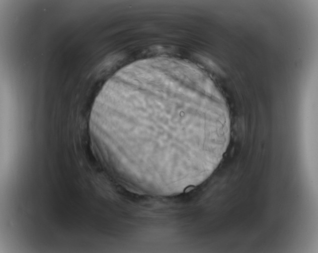 X0000084010917200703091924