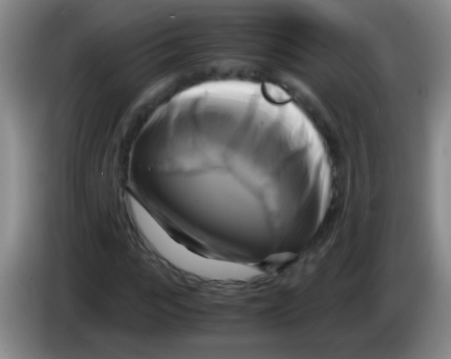 X0000084010919200703091924