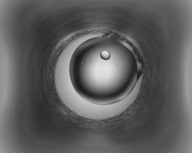 X0000084010920200703091924