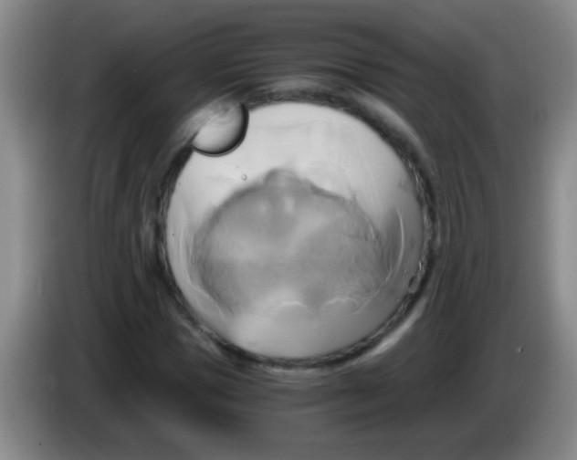 X0000084010921200703091924