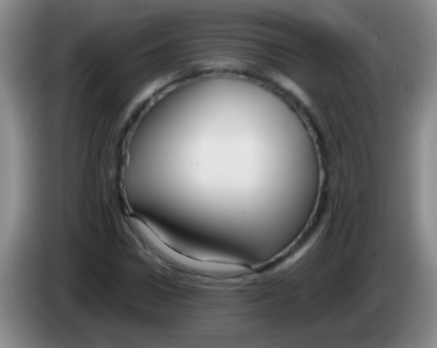 X0000084010922200703091924