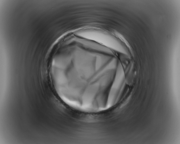 X0000084010923200703091924