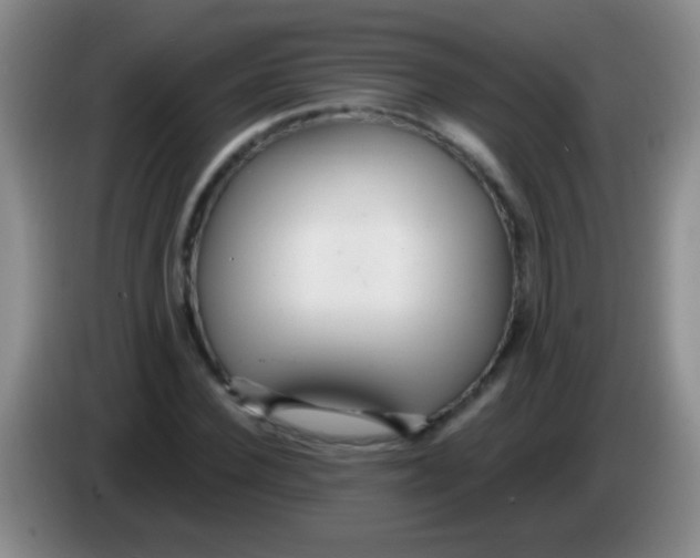 X0000084010924200703091924