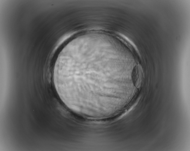 X0000084010925200703091924