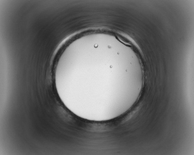 X0000084010927200703091924