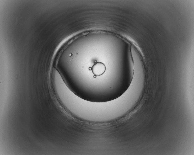 X0000084010928200703091924