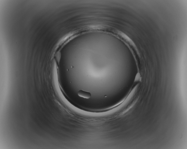 X0000084010930200703091924