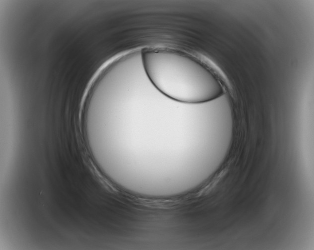 X0000084010932200703091924