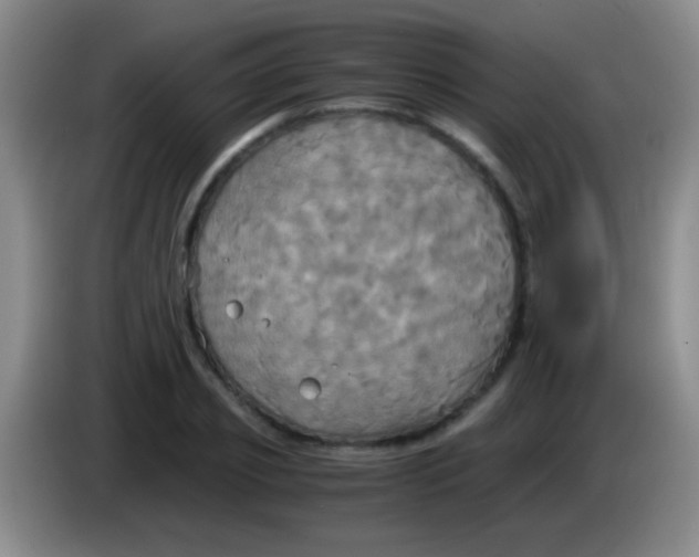 X0000084010933200703091924