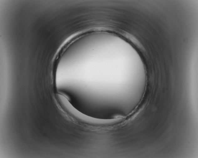 X0000084010934200703091924