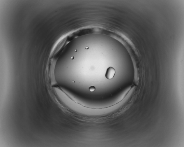 X0000084010936200703091924