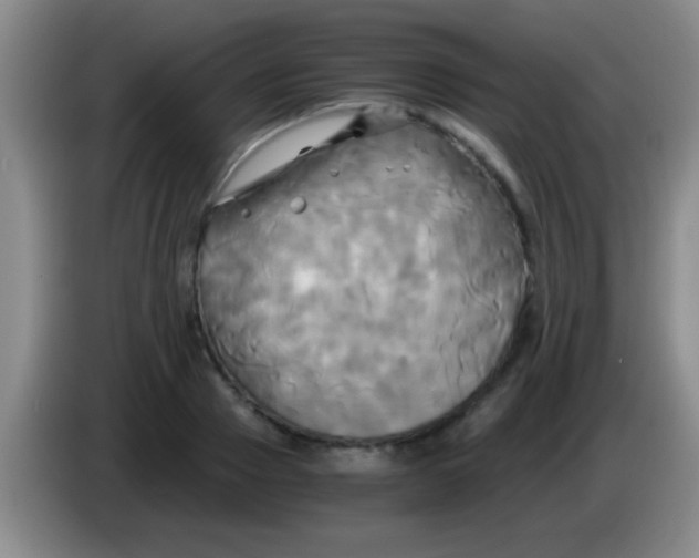 X0000084010937200703091924