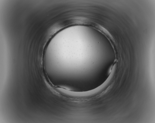 X0000084010938200703091924