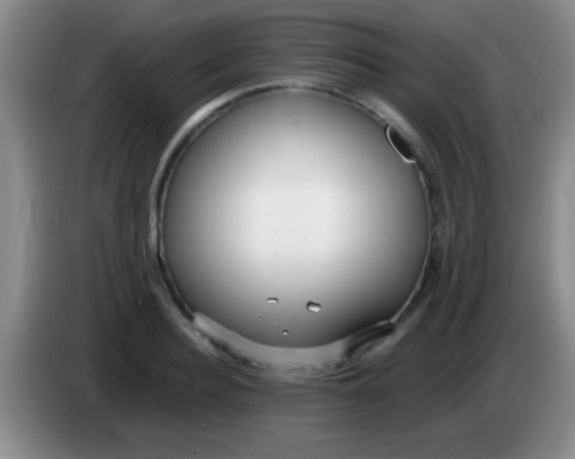 X0000084010940200703091924