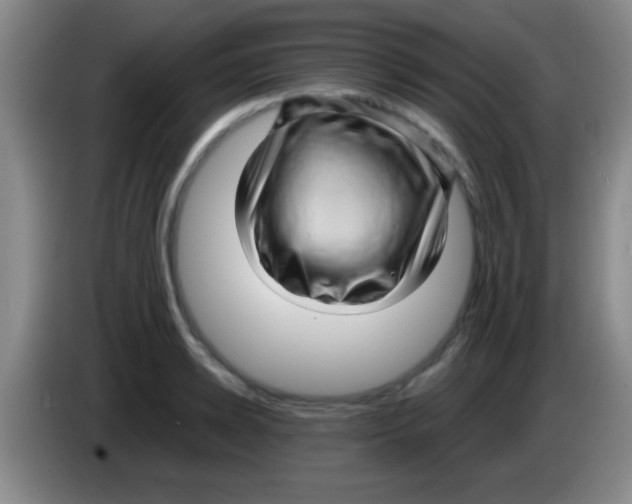 X0000084010942200703091924