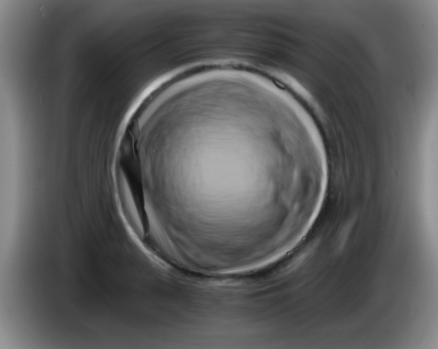 X0000084010943200703091924