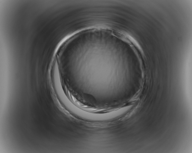 X0000084010944200703091924