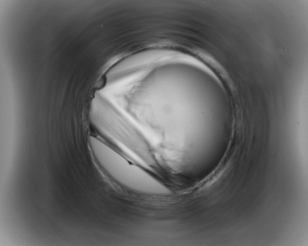 X0000084010945200703091924