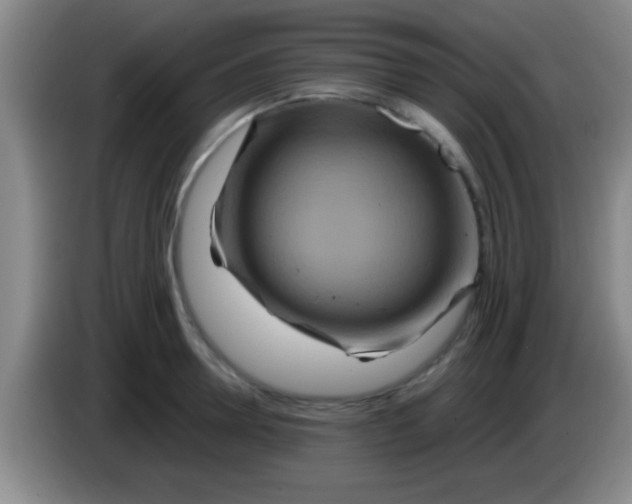 X0000084010946200703091924