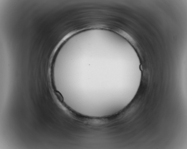 X0000084010947200703091924