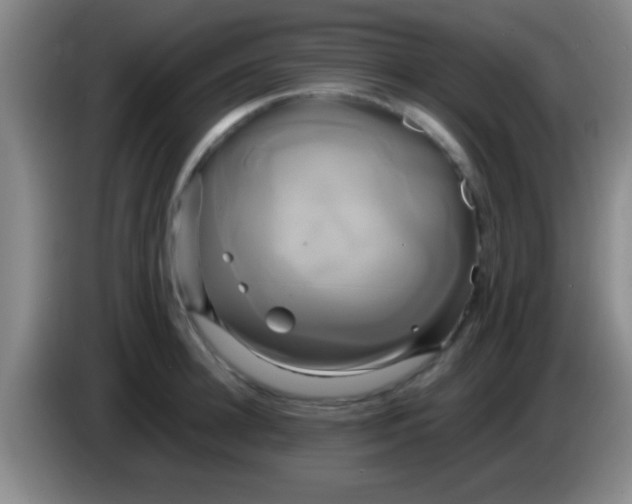 X0000084010948200703091924