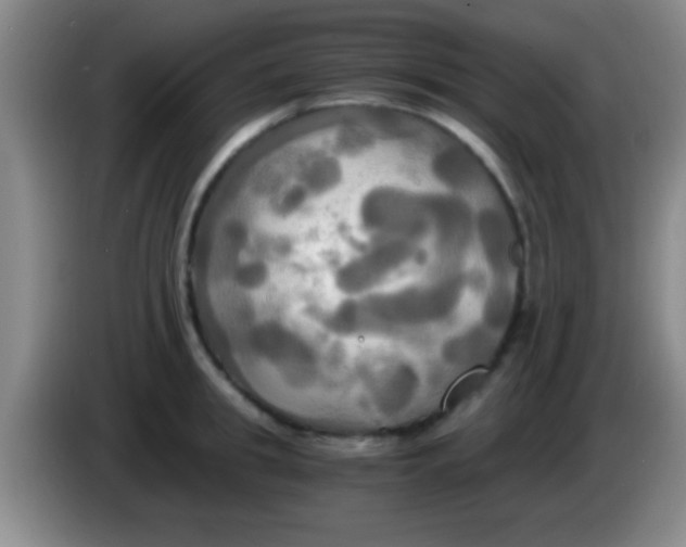 X0000084010949200703091924