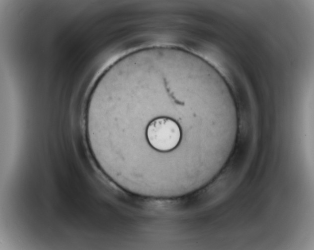 X0000084010950200703091924