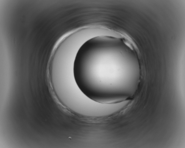 X0000084010952200703091924