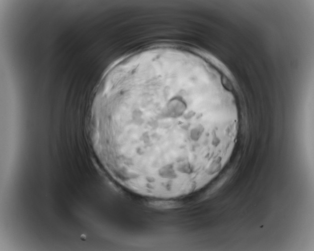 X0000084010953200703091924